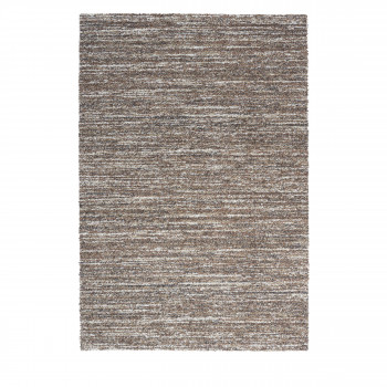Darwin II - Tapis contemporain