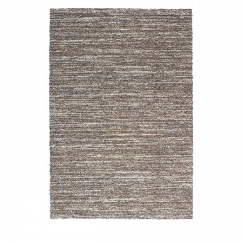 Darwin II - Tapis contemporain