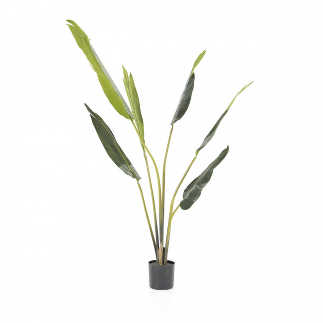 Strelitzia -  Plante artificielle H122cm