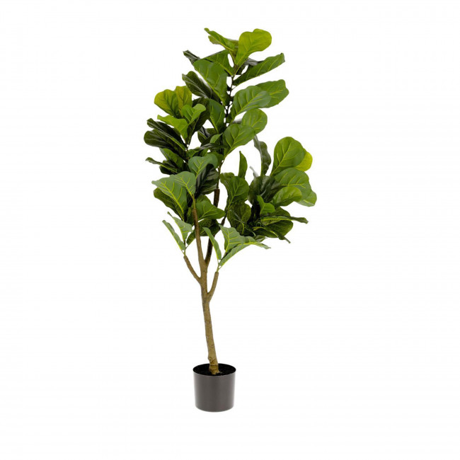 Ficus -  Plante artificielle H150cm