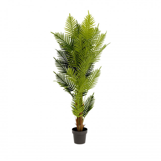 Palmera -  Plante artificielle H150cm