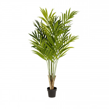 Palmera -  Plante artificielle H170cm