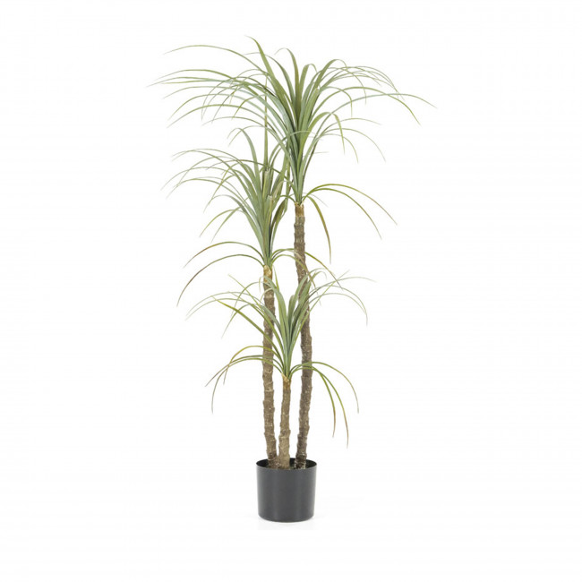 Yucca -  Plante artificielle H122cm