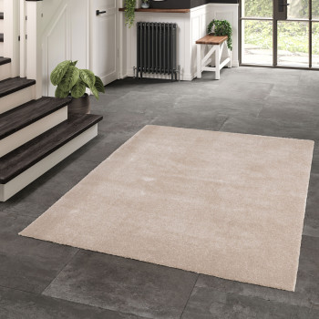 Douglas V - Tapis lavable en machine
