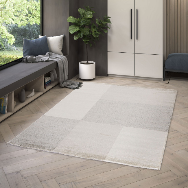 Odense - Tapis contemporain beige et gris