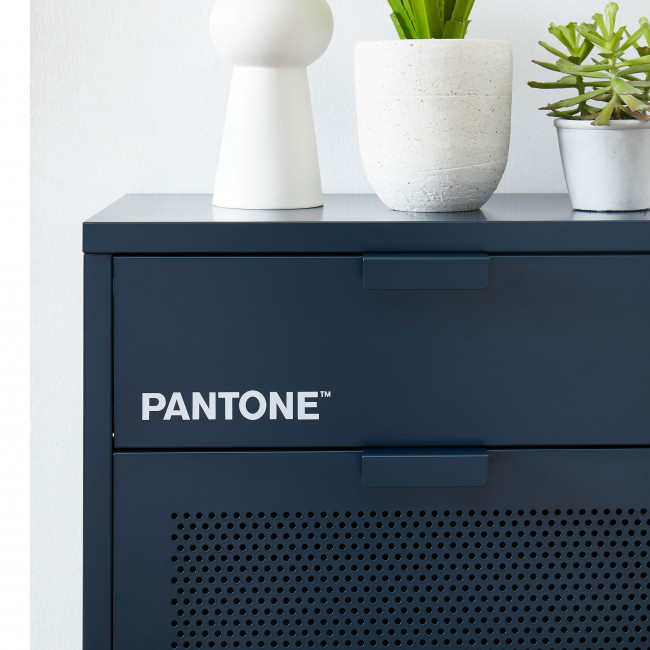 Nino - Meuble à chaussures 2 portes 1 tiroir en métal PANTONE L55cm