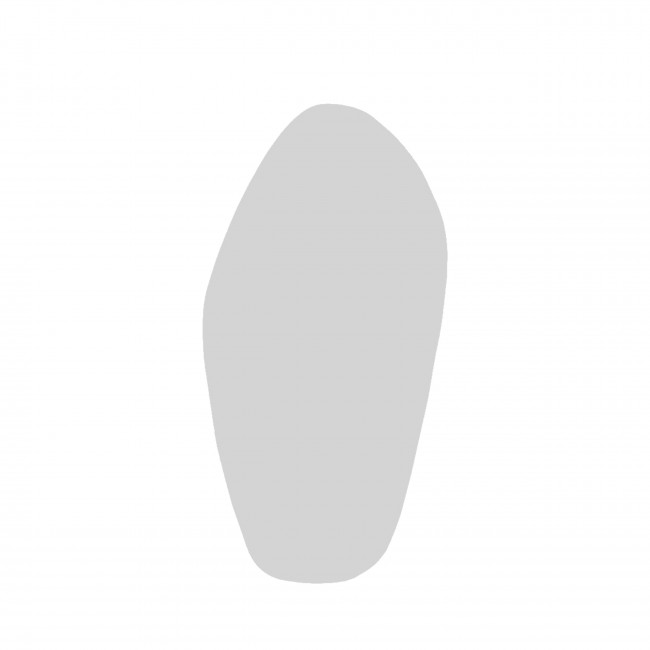 Sunleaf - Miroir de forme organique 60x120cm