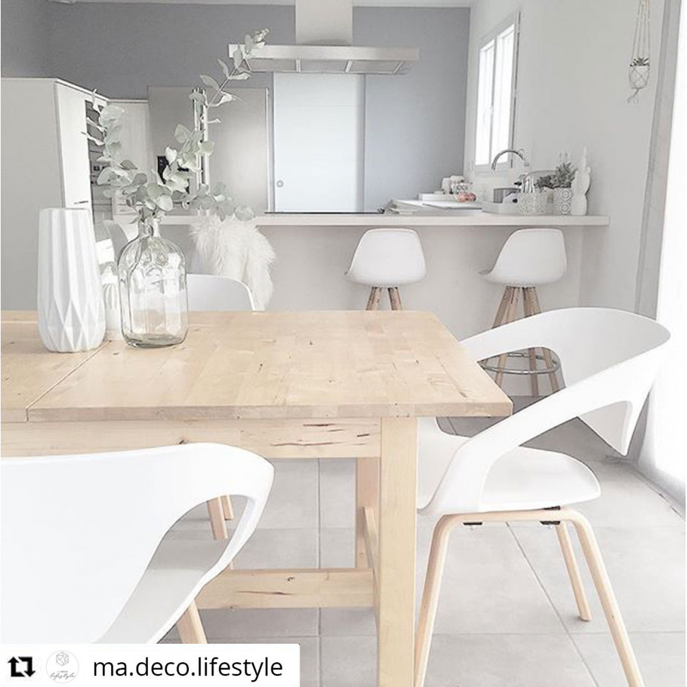 lot de 2 chaises design scandinave danwood