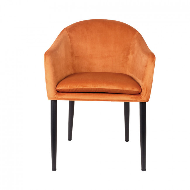 Fauteuil design en velours Catelyn