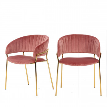 Binford - 2 chaises pieds dorés en métal et velours