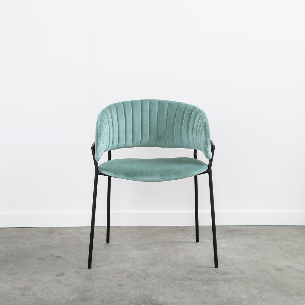 Binford  2 chaises en velours pieds noirs  Drawer