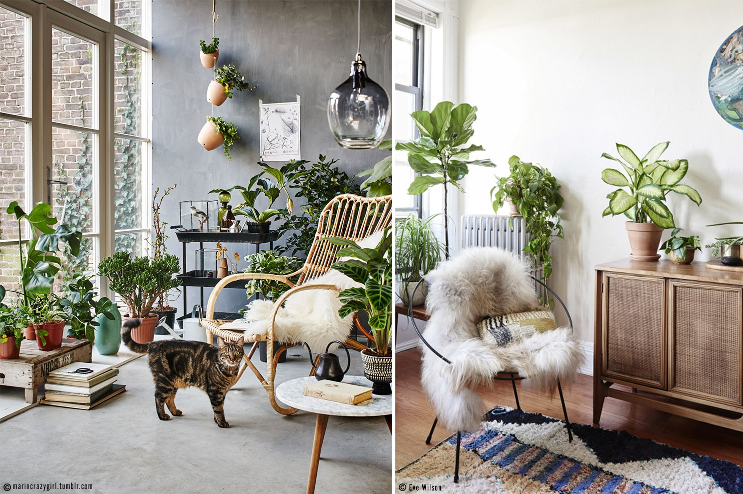 interieur boheme et jungle