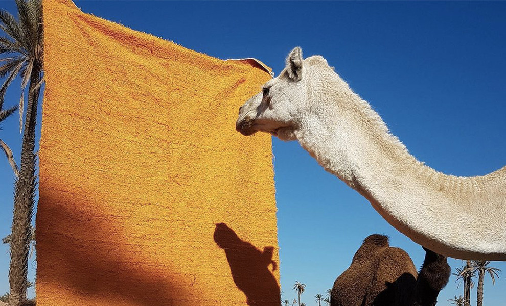 Le tapis berbère : Beni Ouarain vs. Azilal